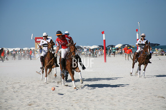 IMG_8195.JPG