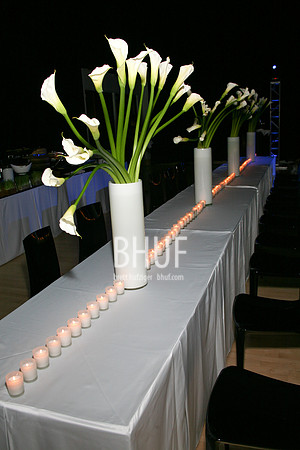 IMG_9648 M.jpg