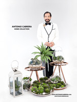 Client Example: Antonio Cabrera Home Collection
