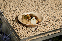 IMG_1811 BHUF