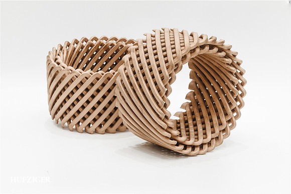 SINTAVIA  - Copper Coil (Focus StackIng Technique)