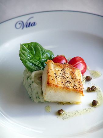 Vita - Miami Beach