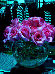 DSC00618