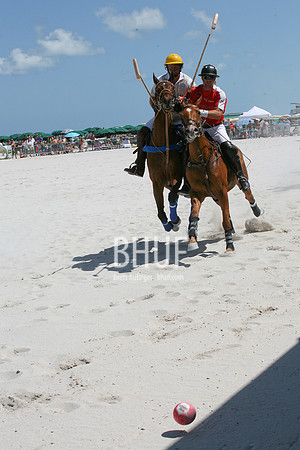 IMG_7165 M.jpg