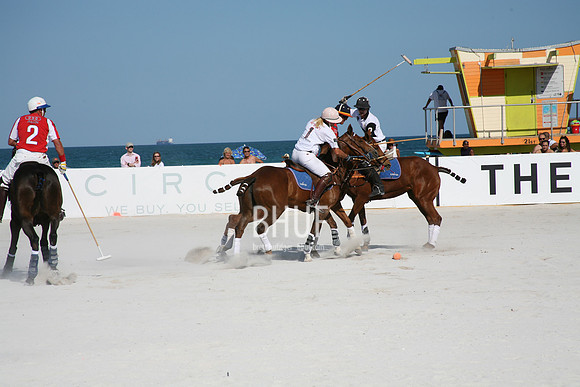 IMG_8117.JPG