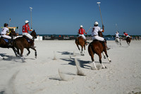 IMG_7993.JPG