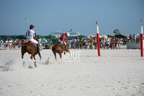 IMG_8208.JPG
